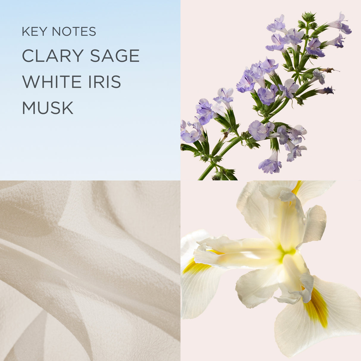 Elizabeth Arden White Tea EDT Spray 100ml