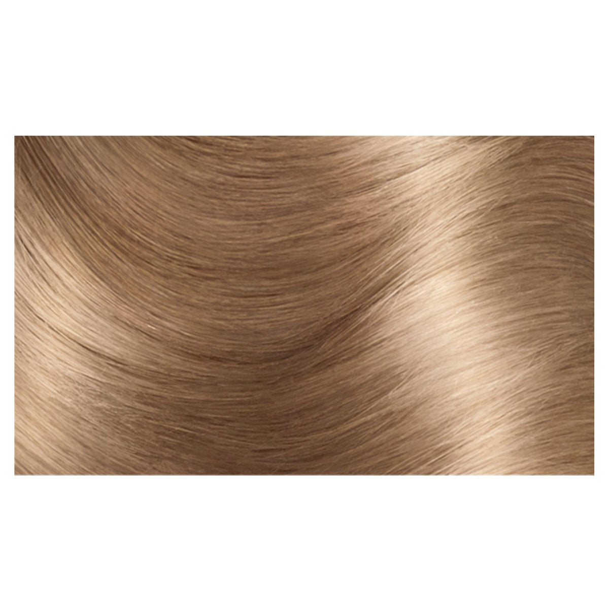 L'Oréal Paris Excellence Crème Permanent Hair Colour - 8.1 Ash Blonde