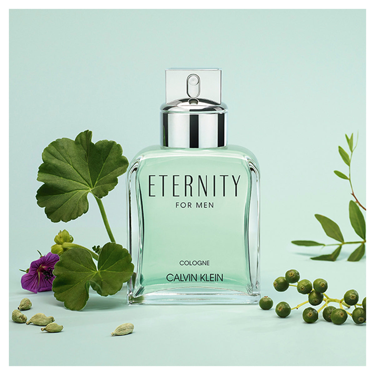 Calvin Klein Eternity Cologne for Him 100ml