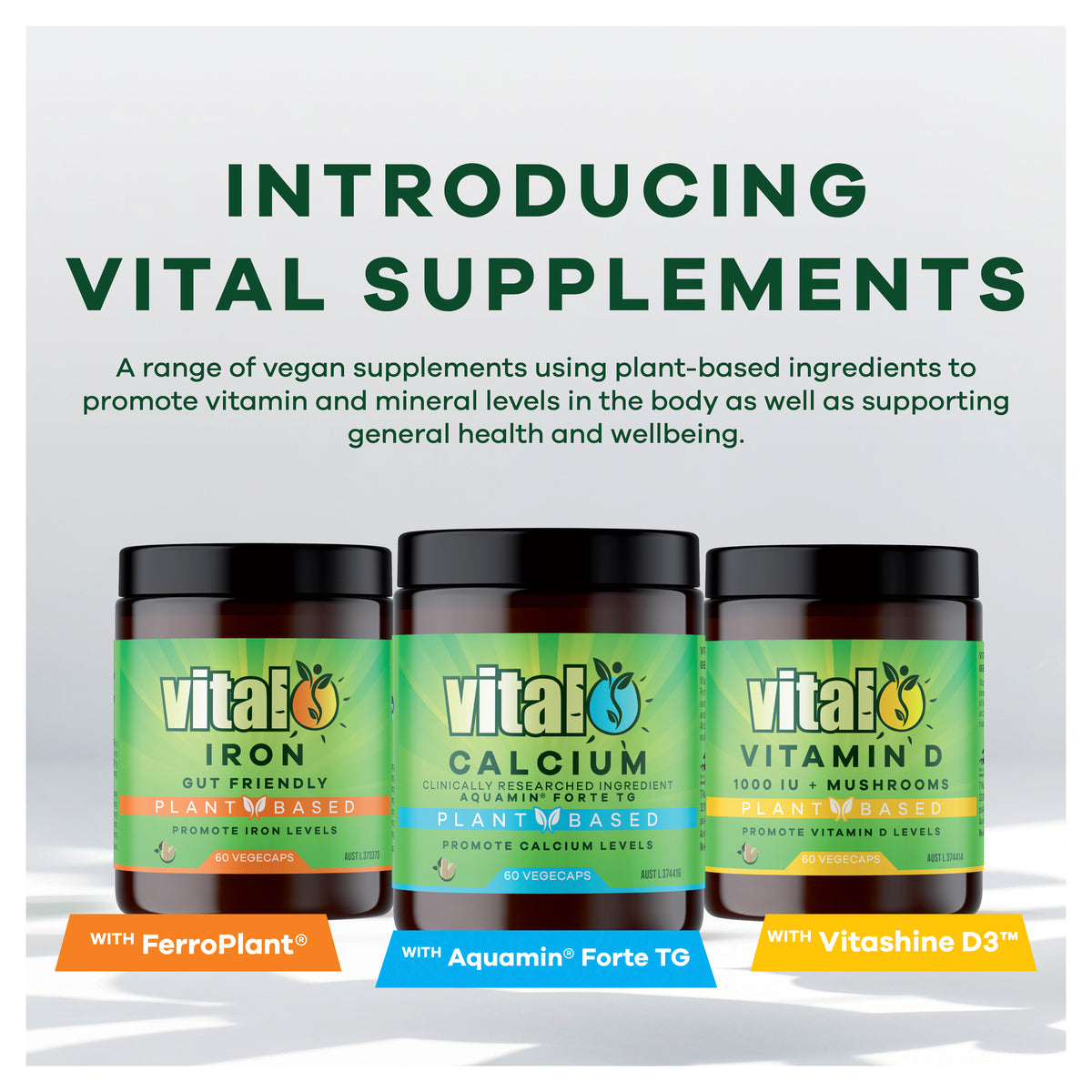 VITAL Calcium 60vcaps
