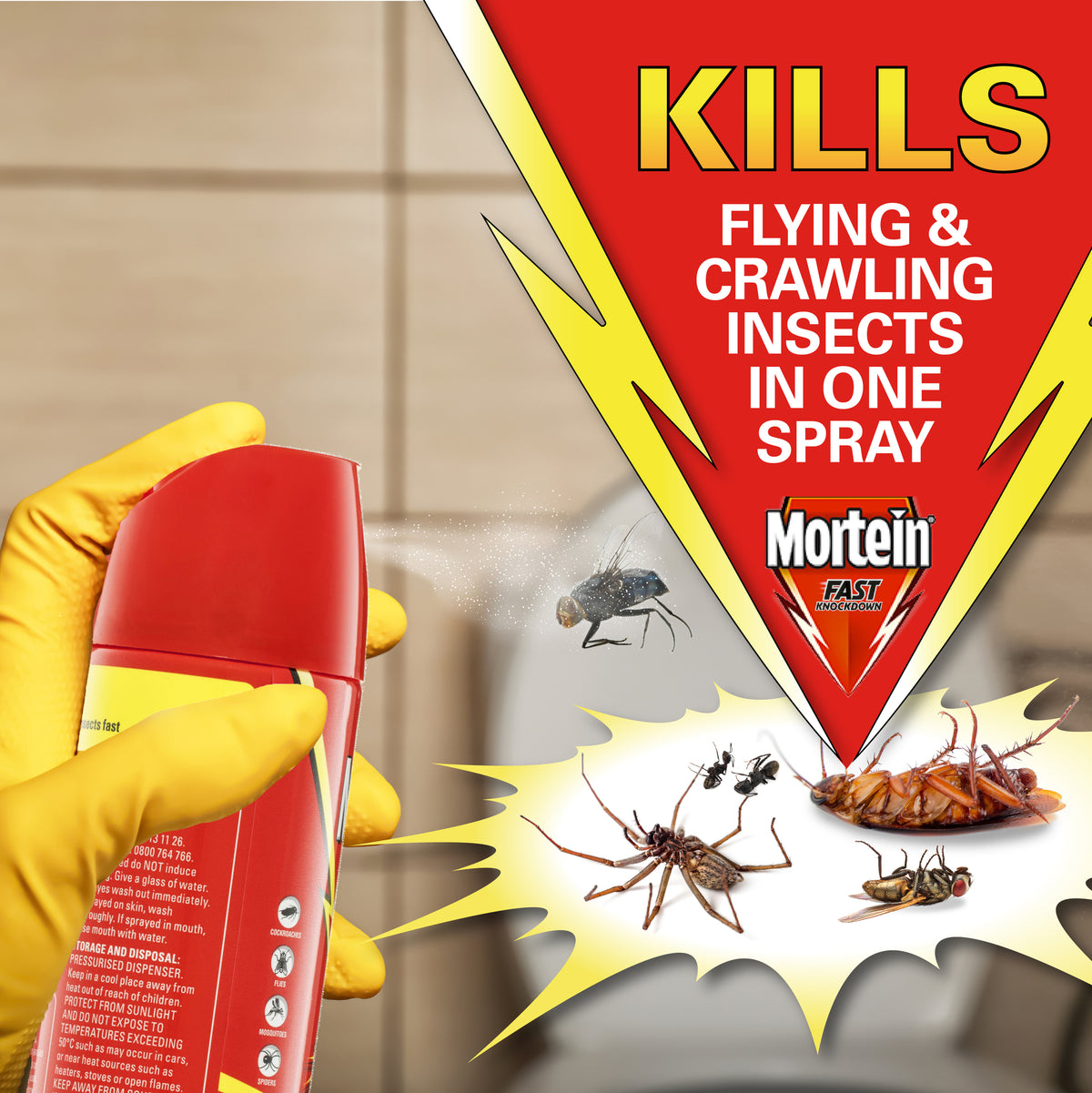 MORTEIN Fast Knockdown Fly Insect Killer 300g