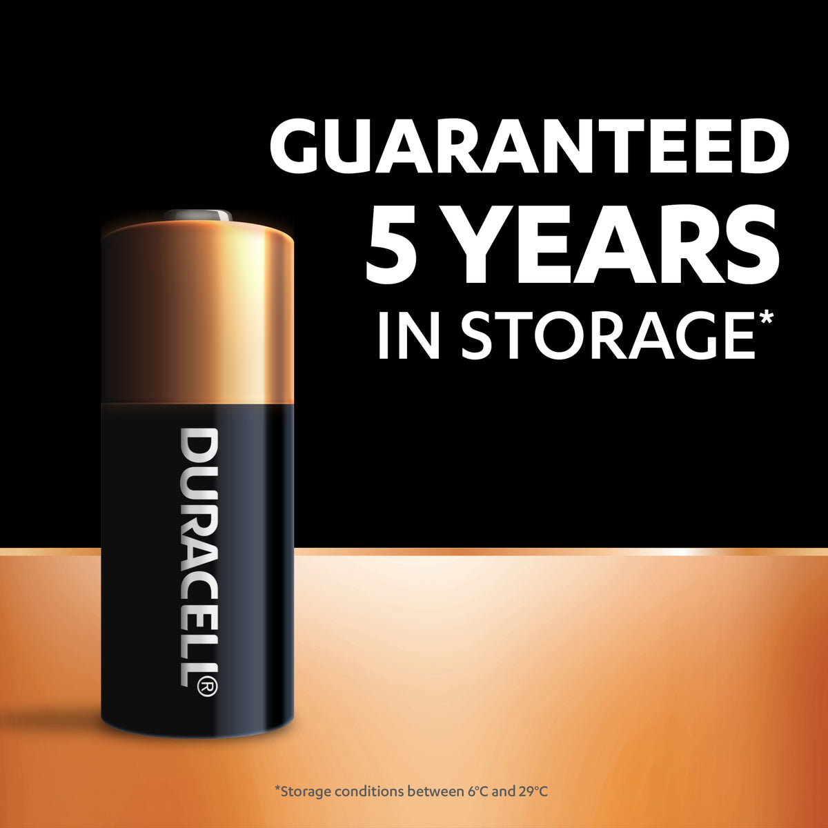 Duracell Specialty A23/MN21 Alkaline Batteries 2 Pack