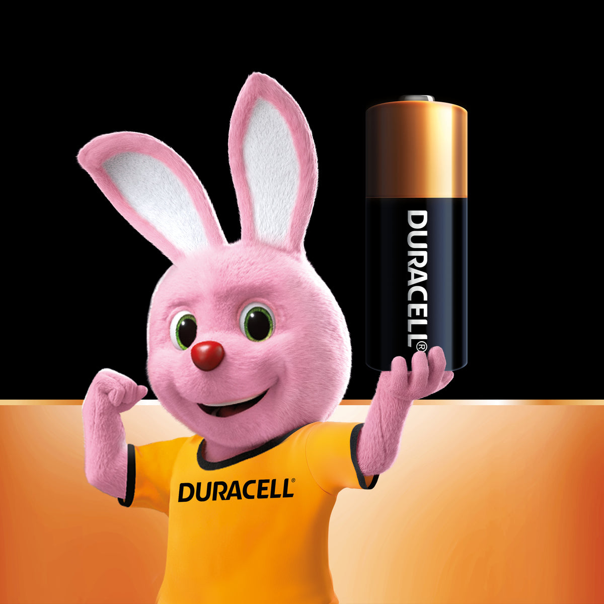 Duracell Specialty A23/MN21 Alkaline Batteries 2 Pack