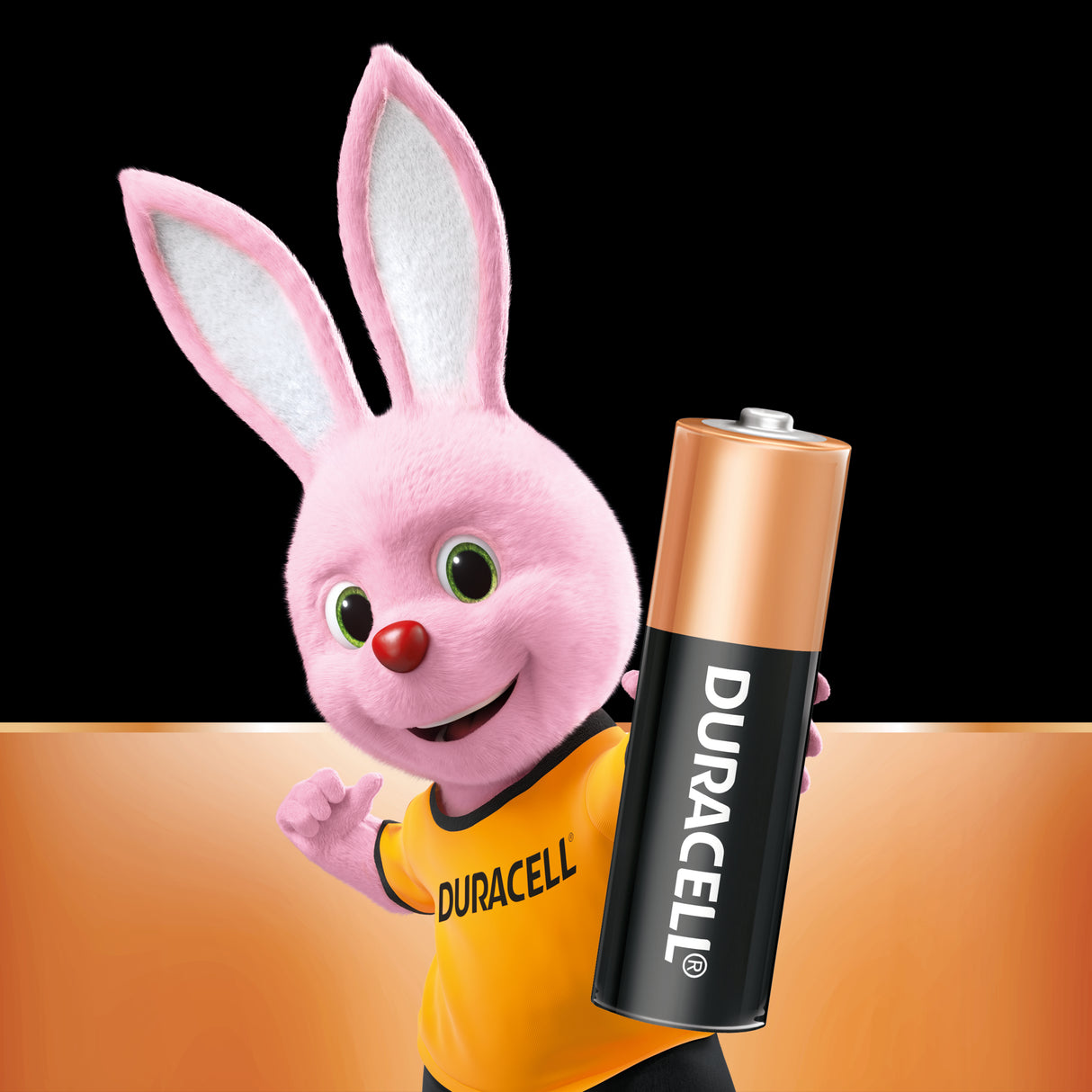 Duracell Coppertop AA Alkaline Batteries 4 pack
