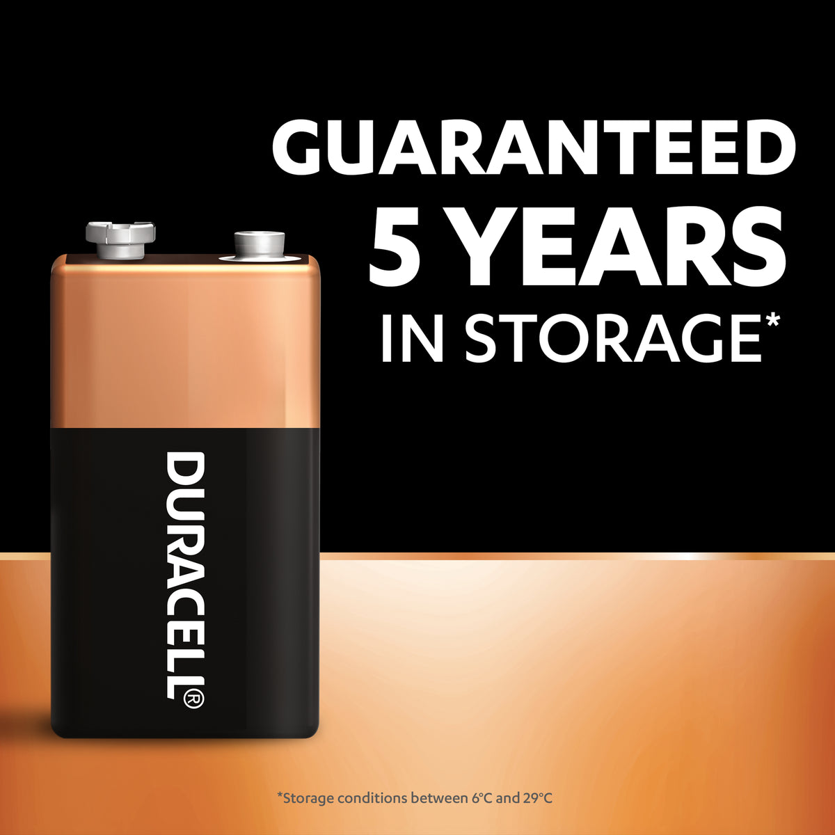 Duracell Coppertop 9V Alkaline Batteries 2 pack