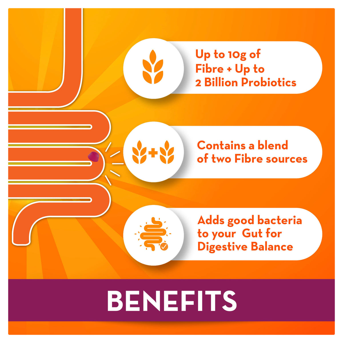 Metamucil Fibre + Probiotics 60 Gummies