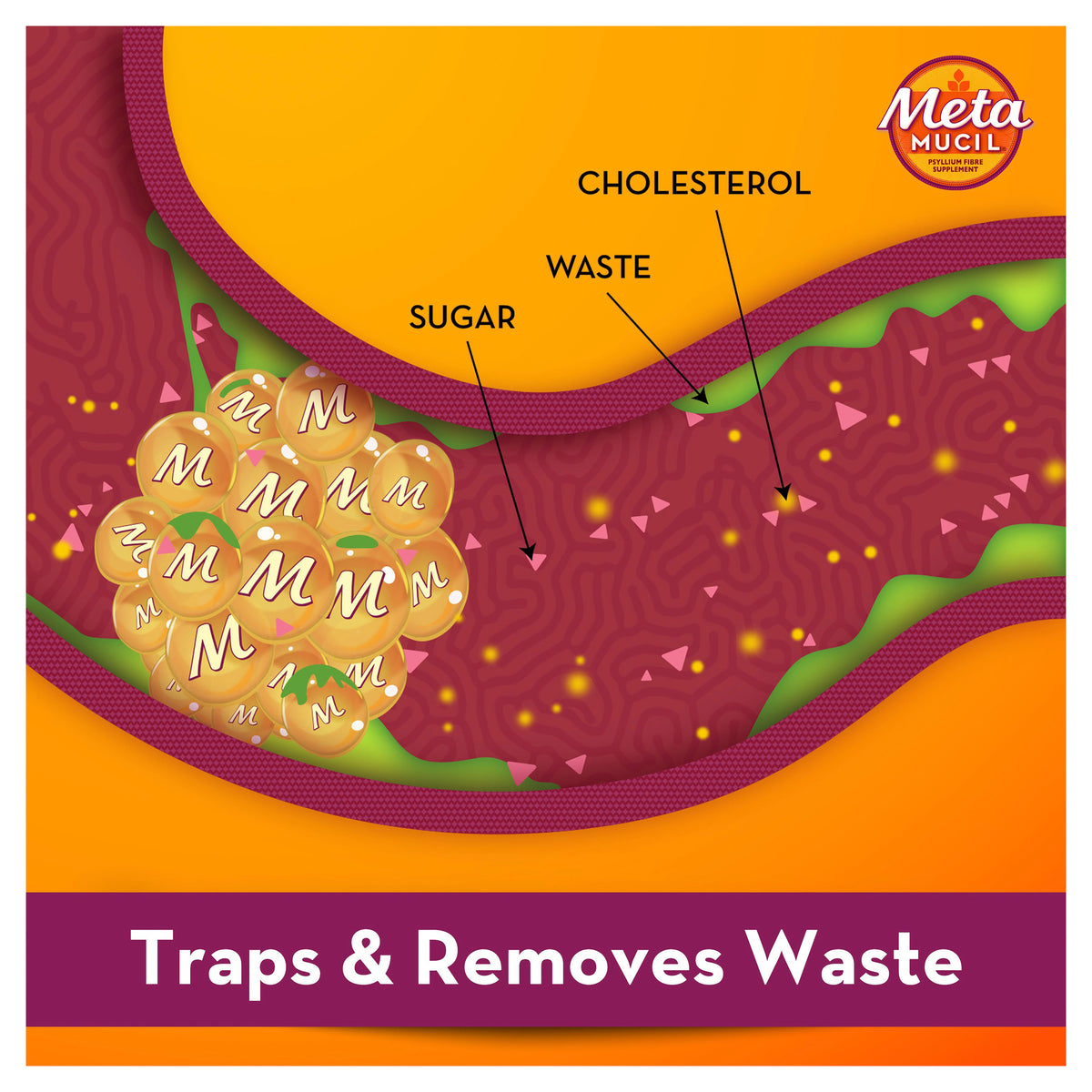METAMUCIL Fibre Supplement Capules 160 caps