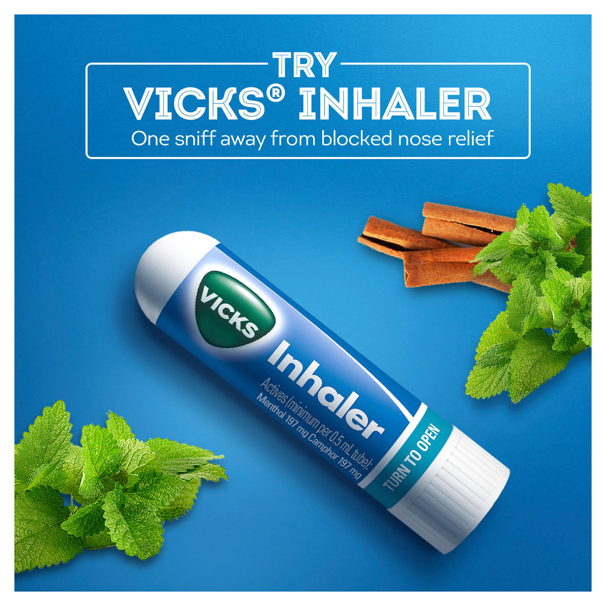 Vicks Nasal Decongestant Inhaler 2 Pack