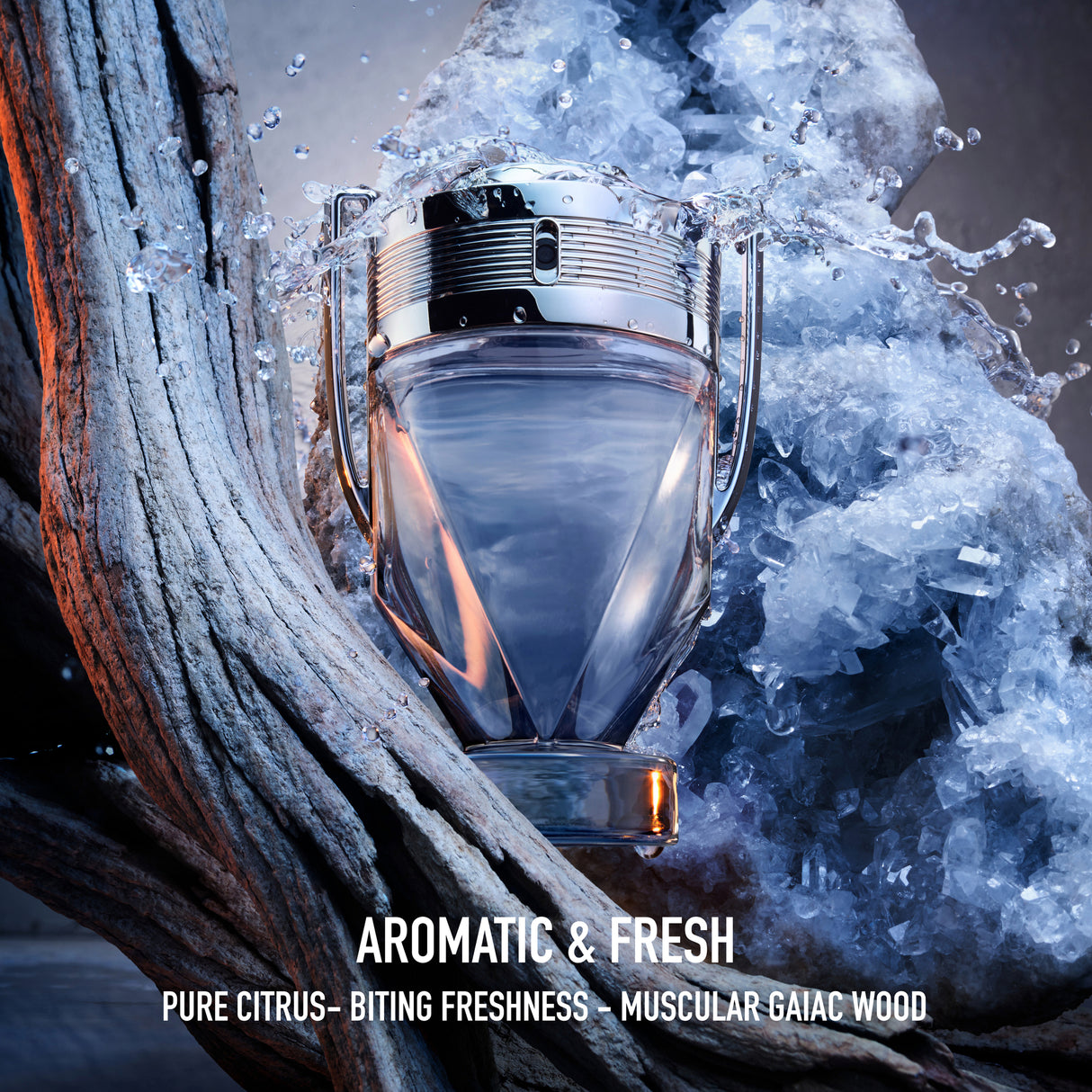 Paco Rabanne Invictus EDT 100ml