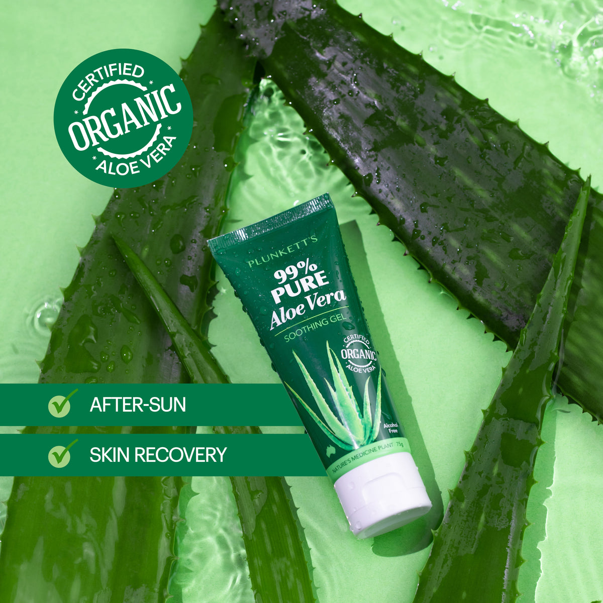 Plunkett's 99% Pure Aloe Vera Soothing Gel 240mL
