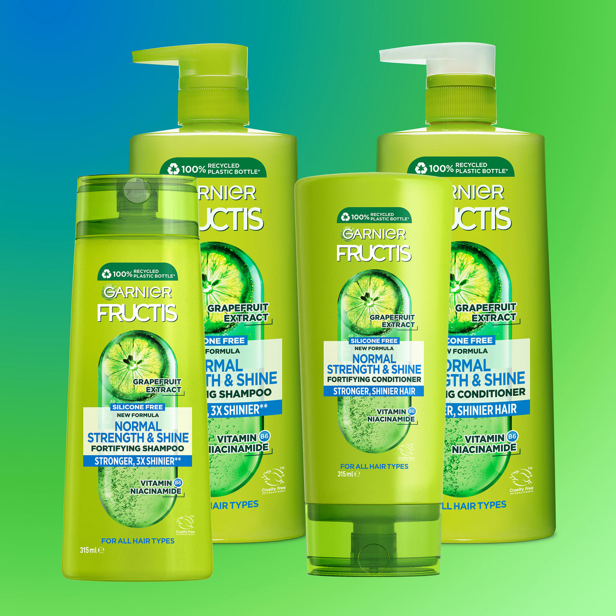 Garnier Fructis Normal Strength & Shine Normal Hair Conditioner 315ml