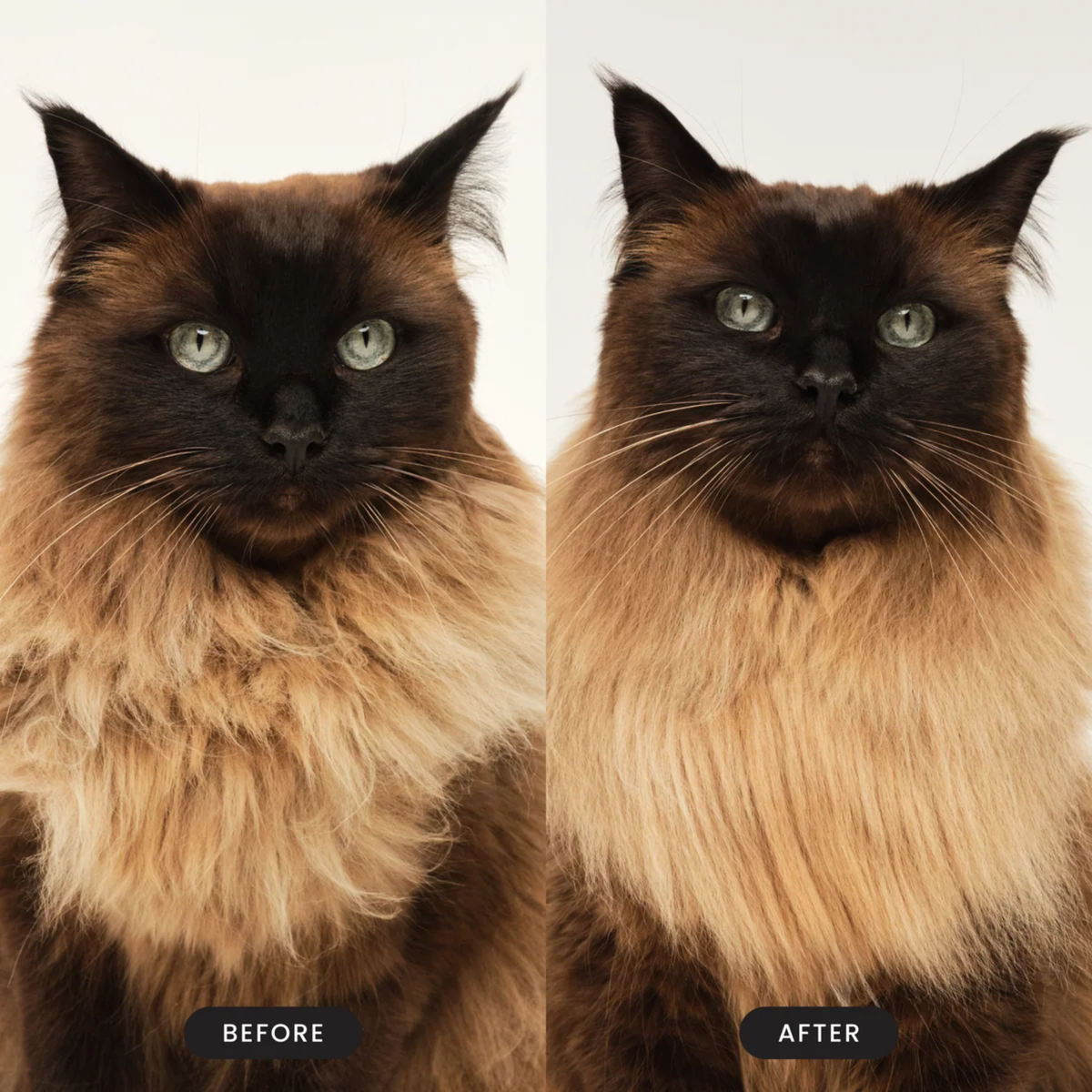 Tangle Teezer Cat Grooming Brush