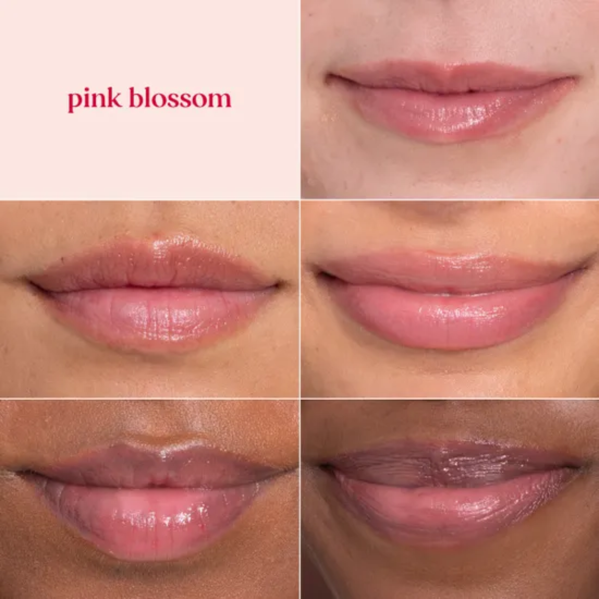 Burt's Bees Tinted Lip Balm Pink Blossom