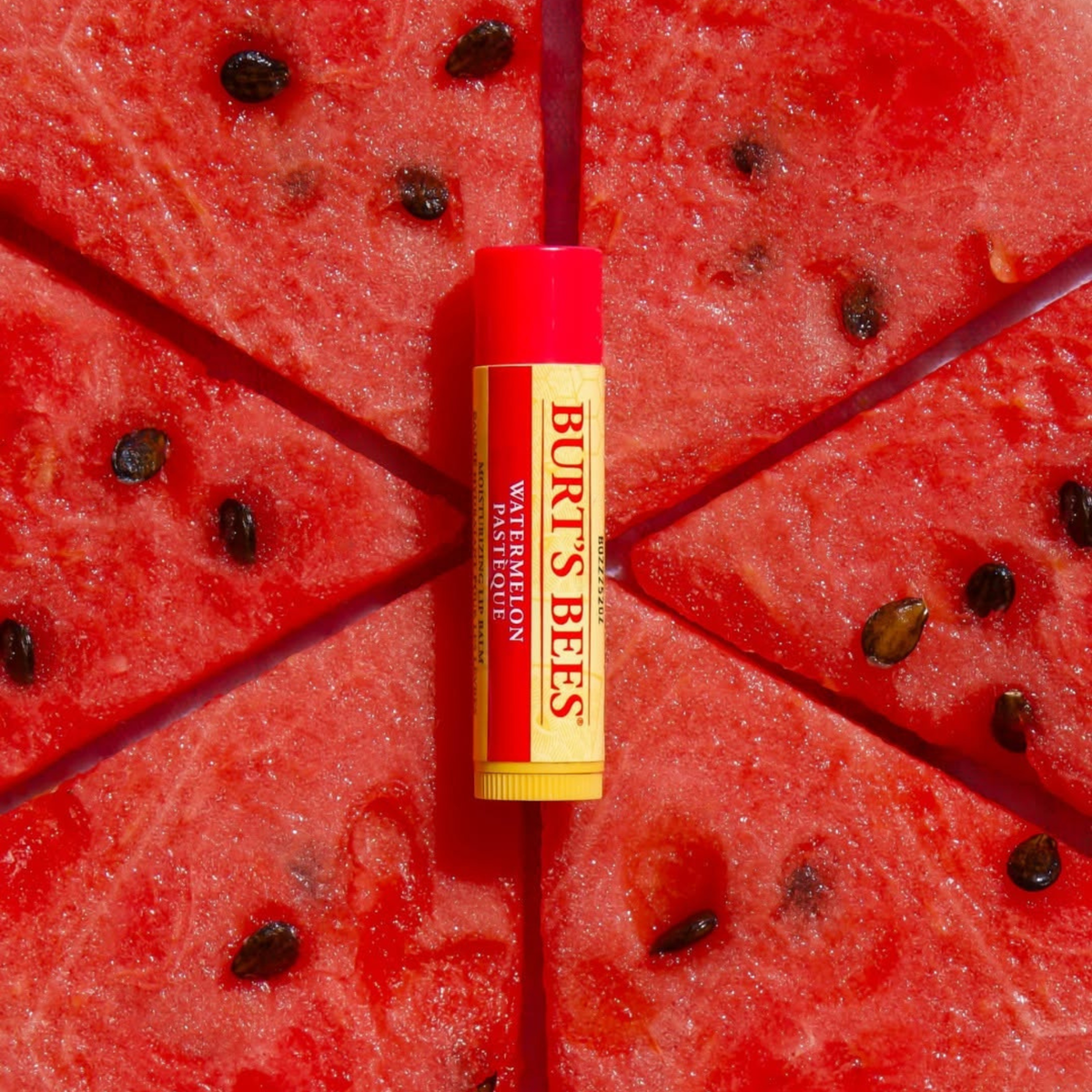 Burts Bees 100% Natural Watermelon Lip Balm 4.25g