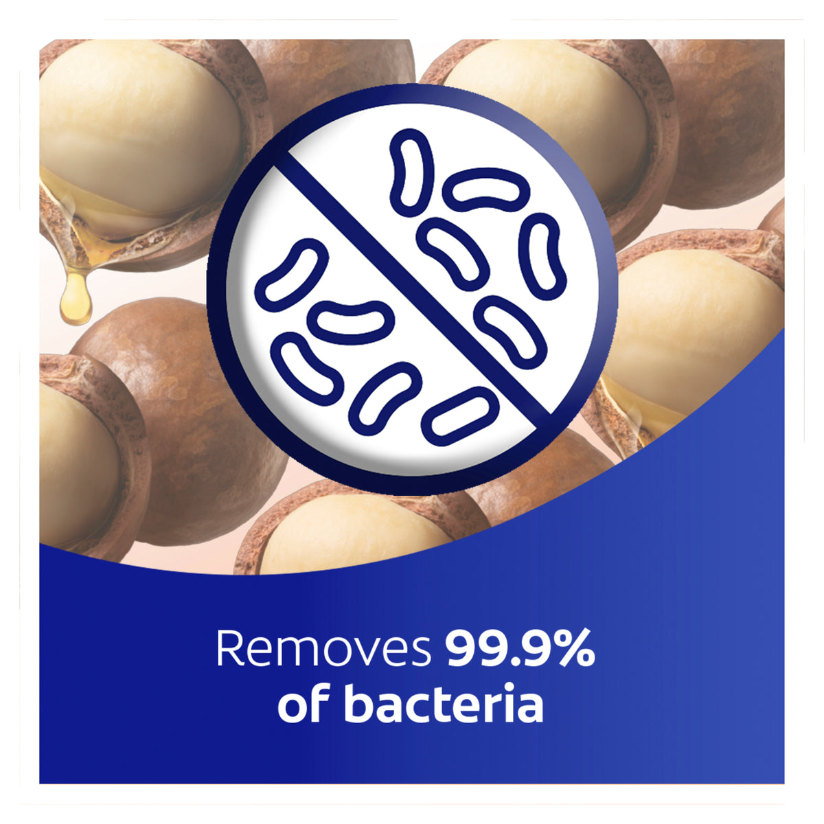 PROTEX Antibacterial Macadamia Oil Bar Soap 90g