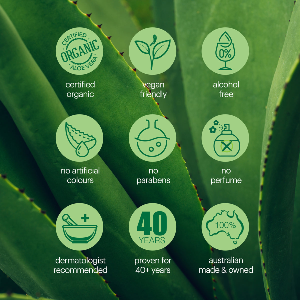 Plunkett's 99% Pure Aloe Vera Soothing Gel 240mL