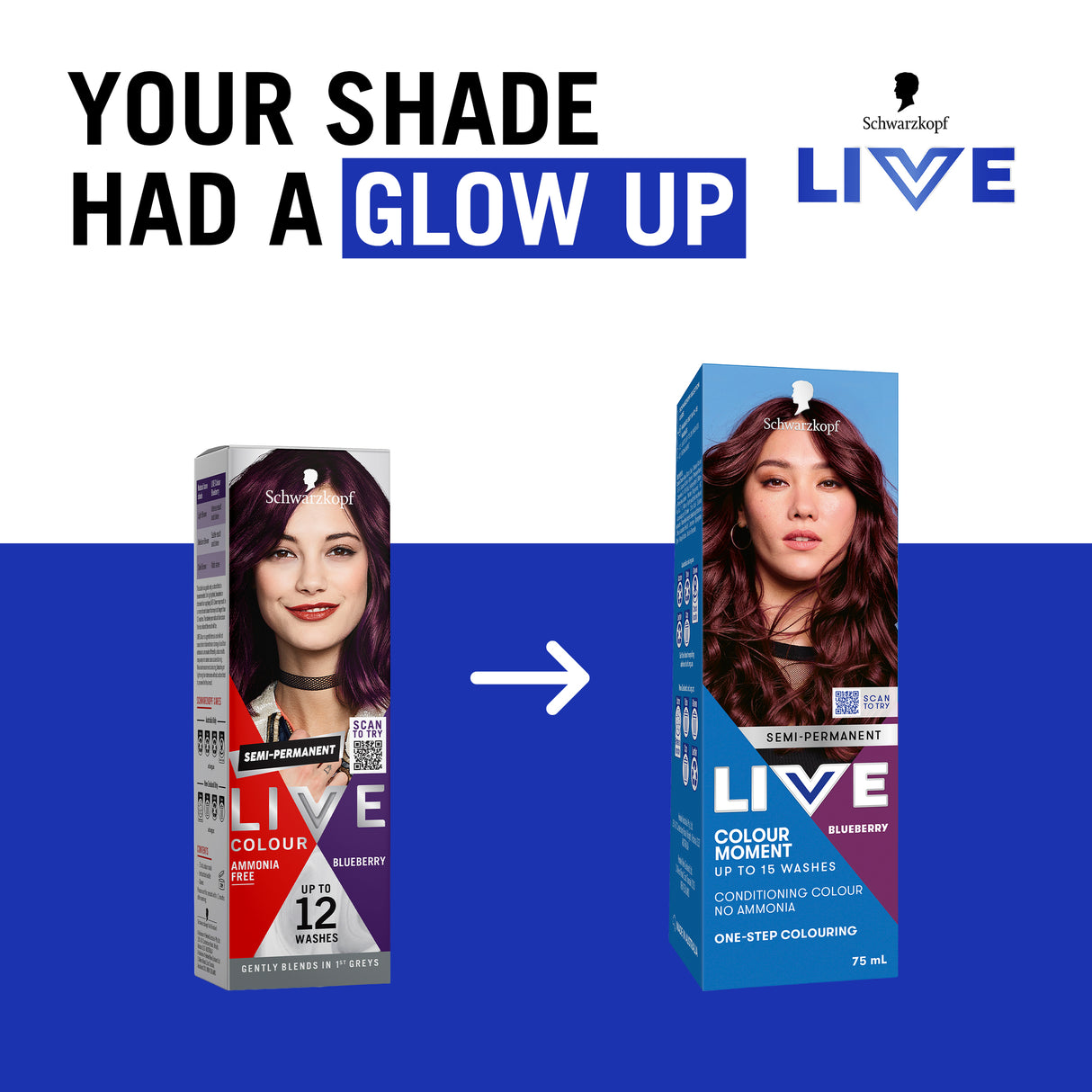 Schwarzkopf Live Colour Blueberry 75mL