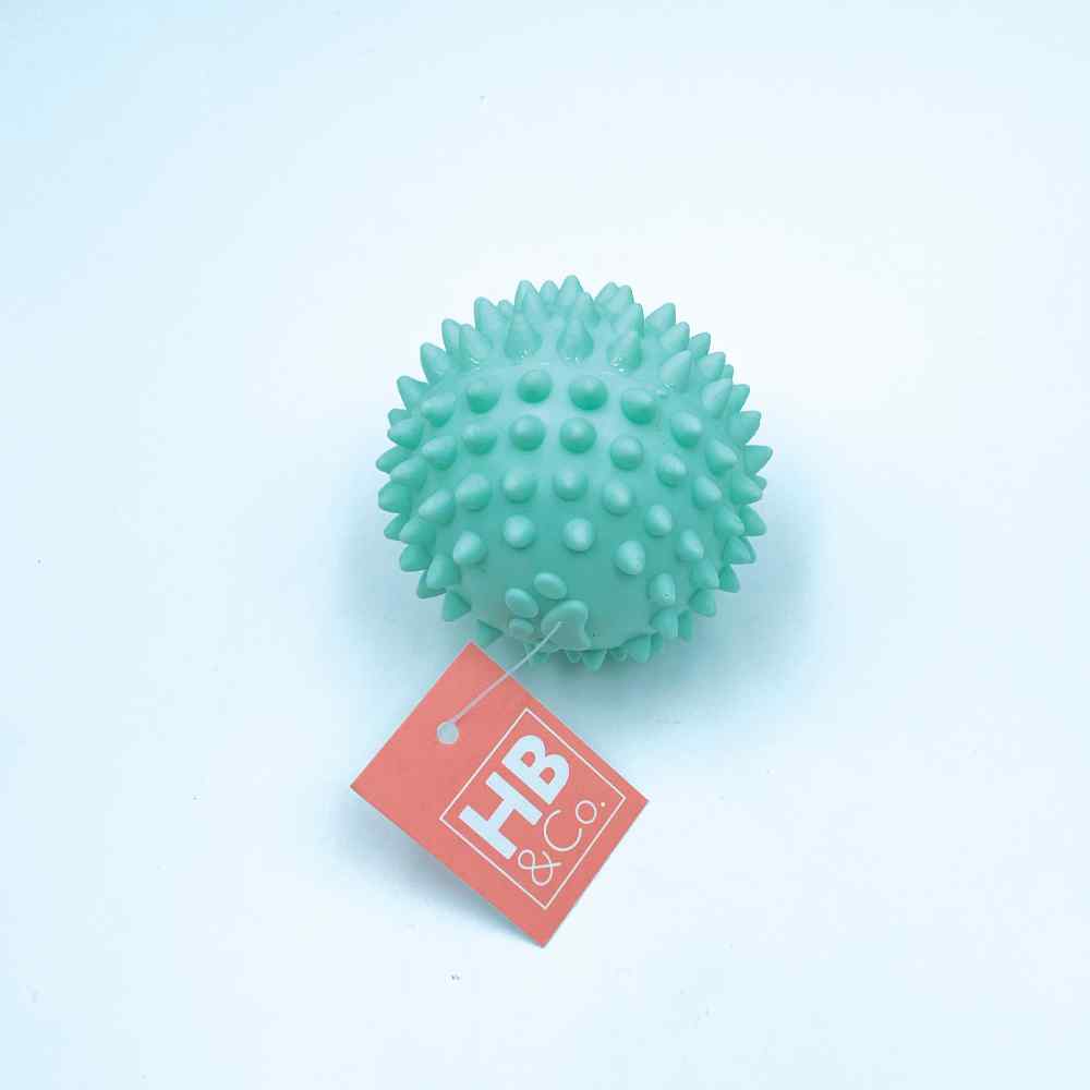 HB&Co Pet Toy Chew Ball 1ea