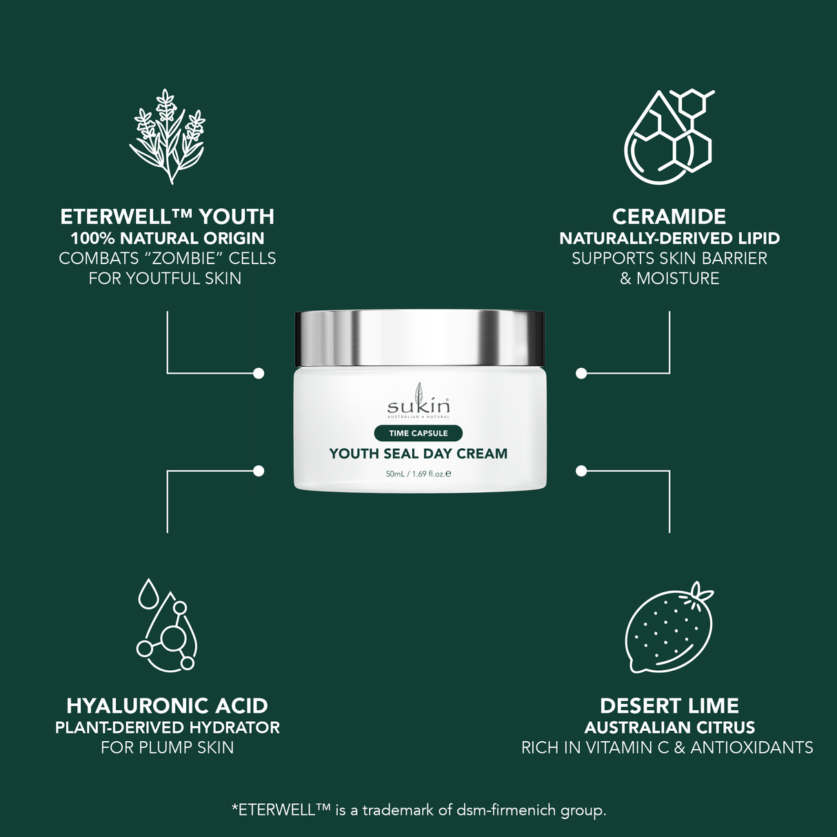 TIME CAPSULE YOUTH SEAL DAY CREAM 50ML