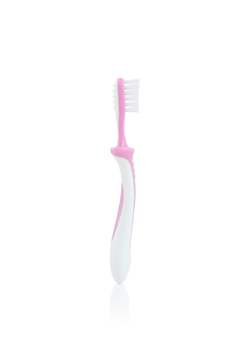 Pigeon Training Toothbrush Lesson 3 - Light Pink