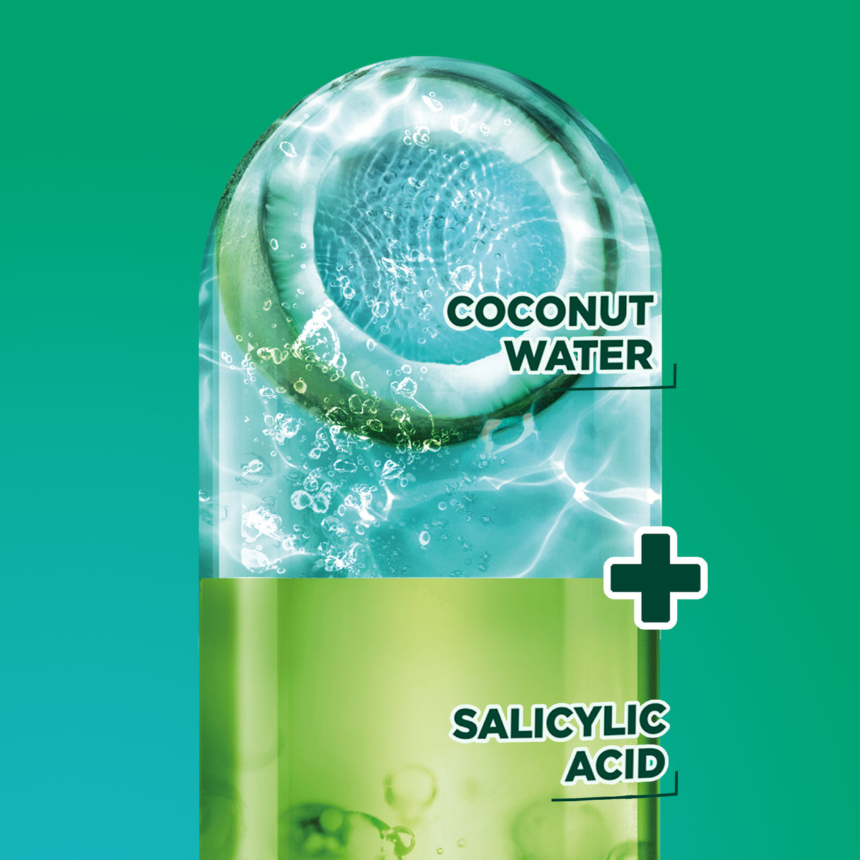 Garnier Fructis Coconut Water Oily Roots Dry Ends Shampoo 850ml