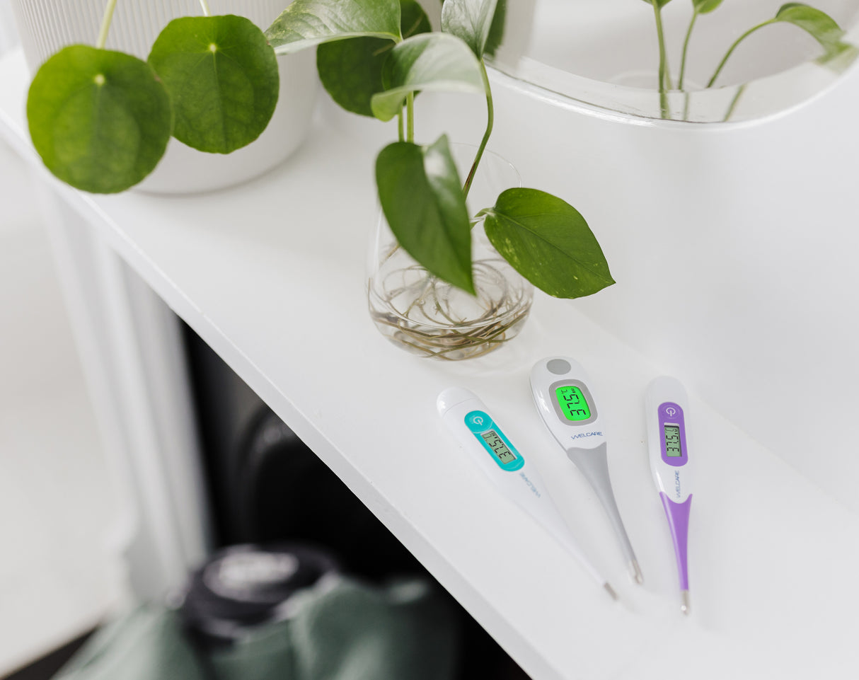Welcare Digital Thermometer Standard