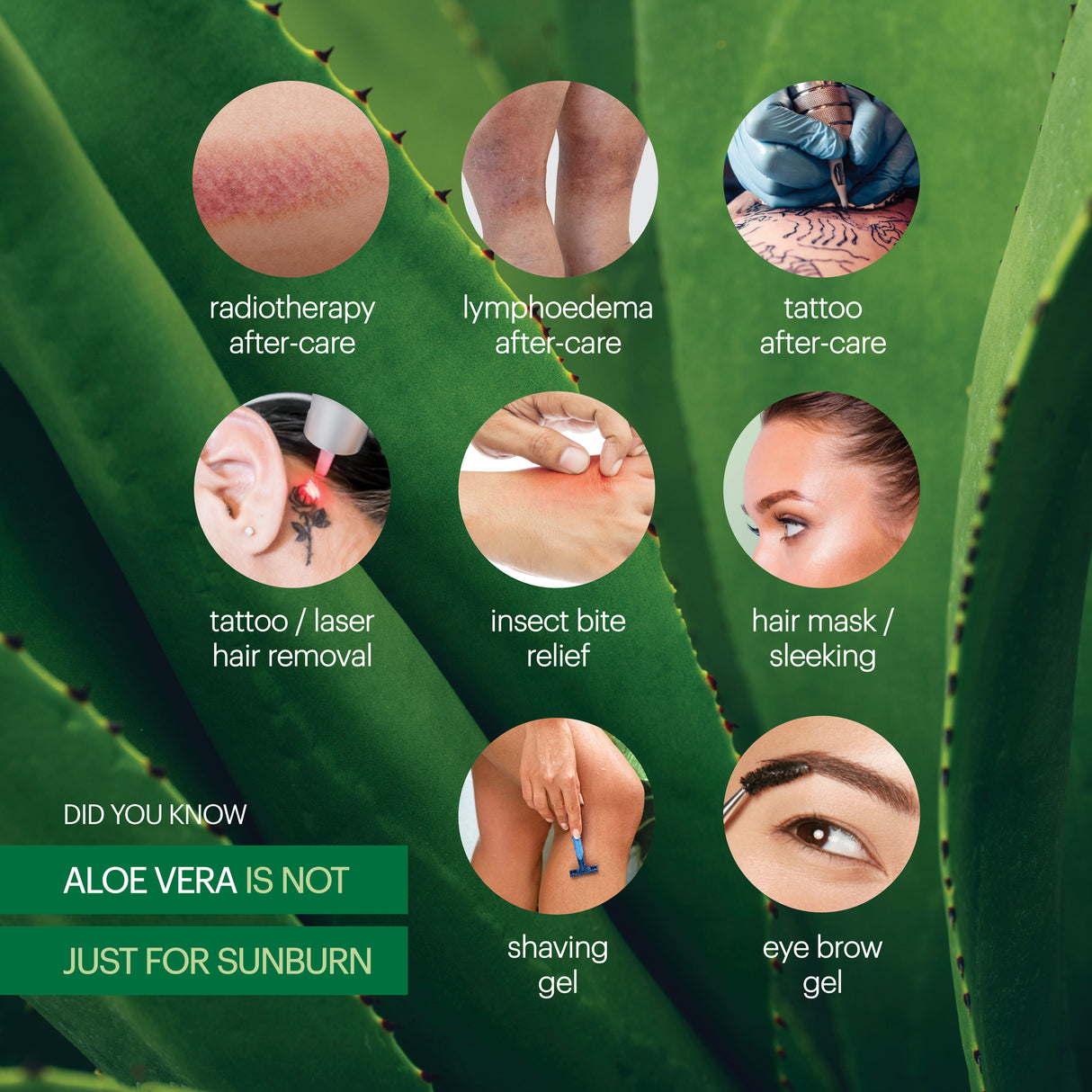 Plunkett's 99% Pure Aloe Vera Soothing Gel 240mL