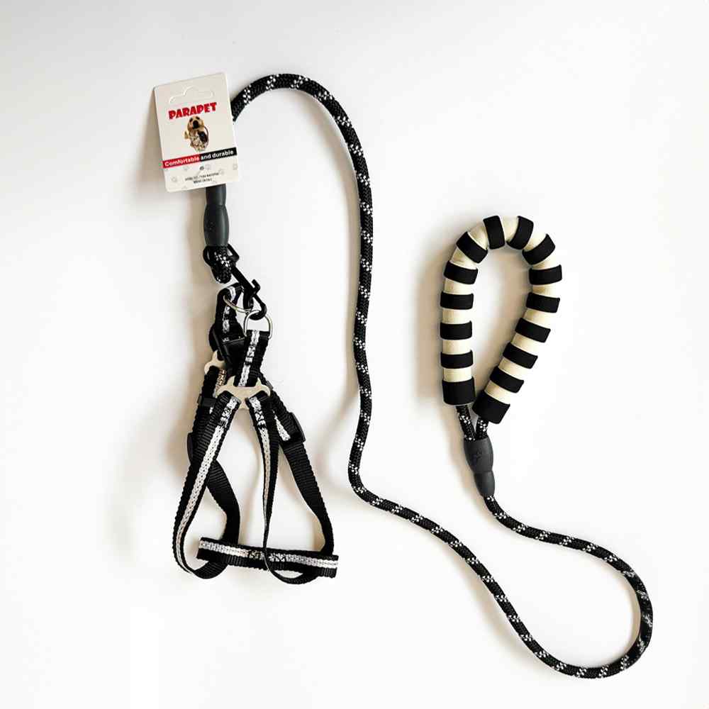 HB&Co Bungee Dog Lead Asst Colour