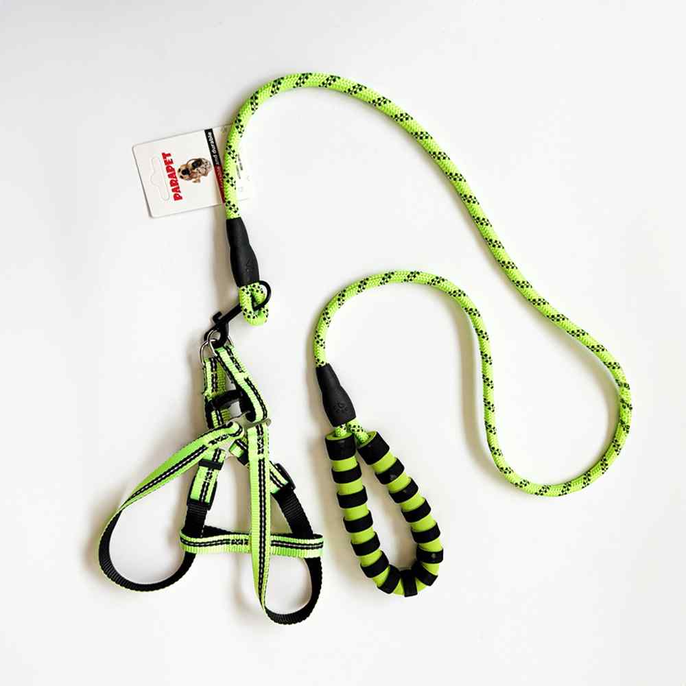 HB&Co Bungee Dog Lead Asst Colour