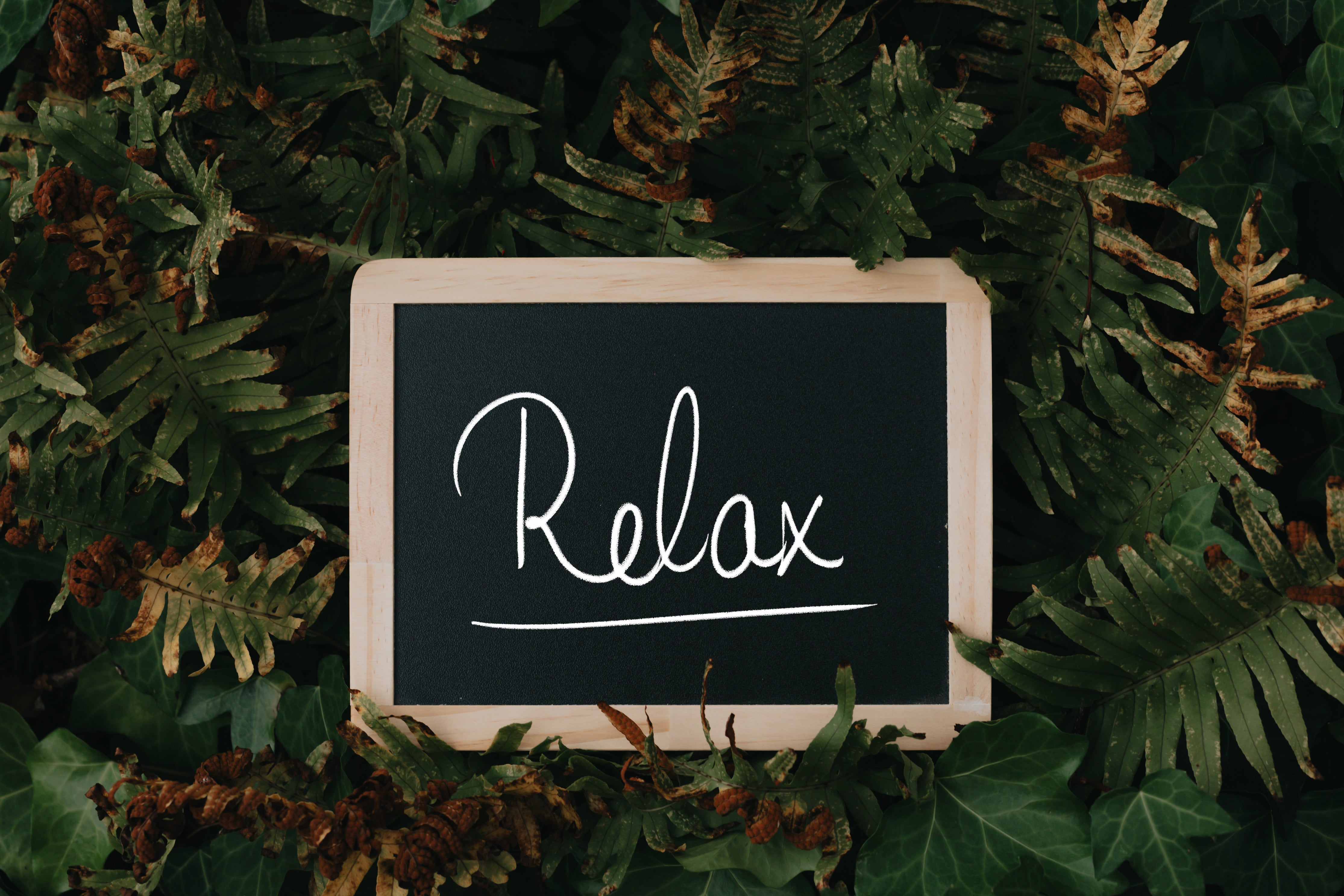 Best Supplements for Managing Stress and Worry