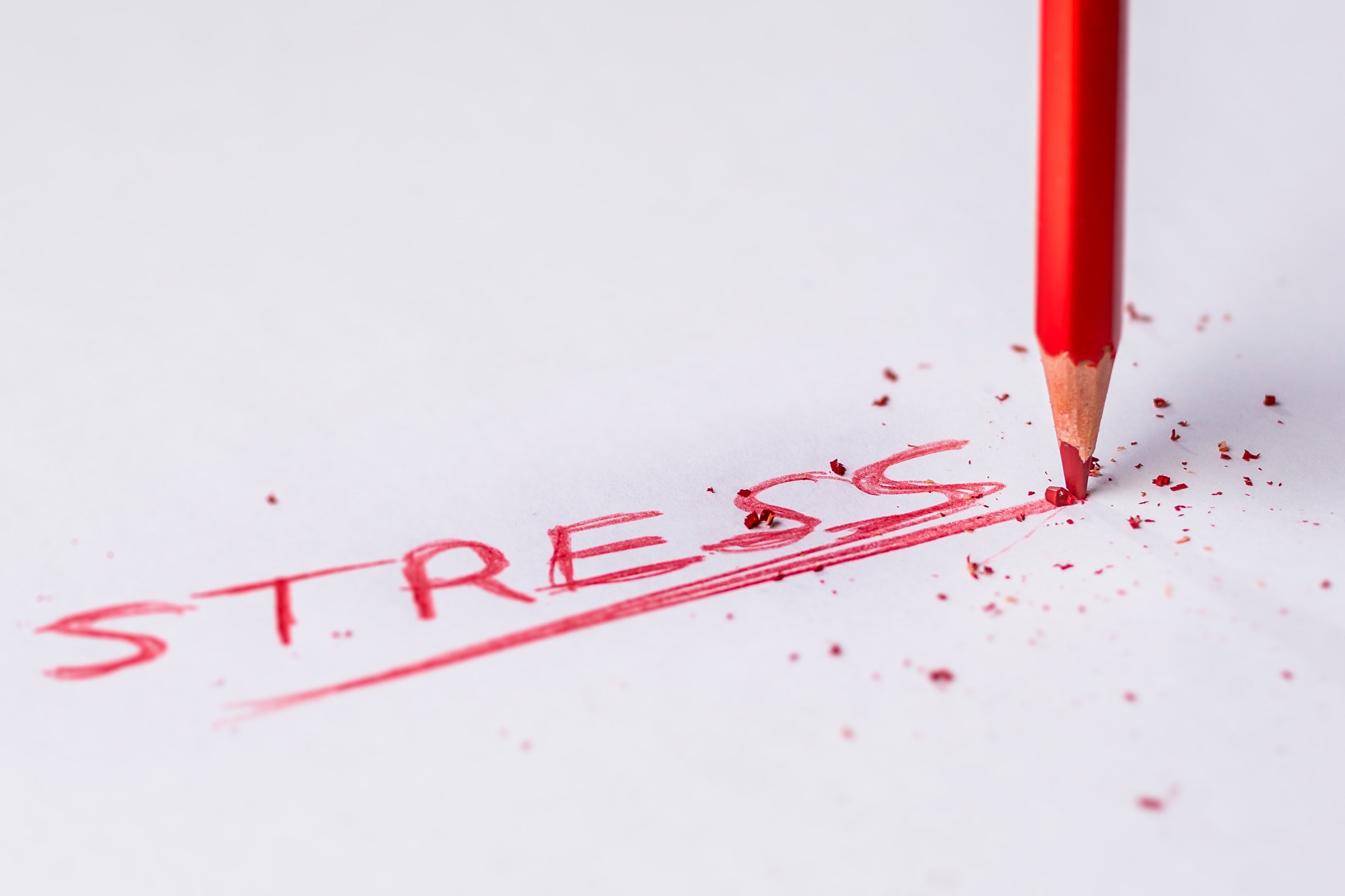 Can Supplements Really Help with Stress or Worry