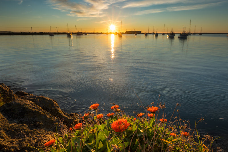 How to Recharge Your Mind And Body Over Summer Break