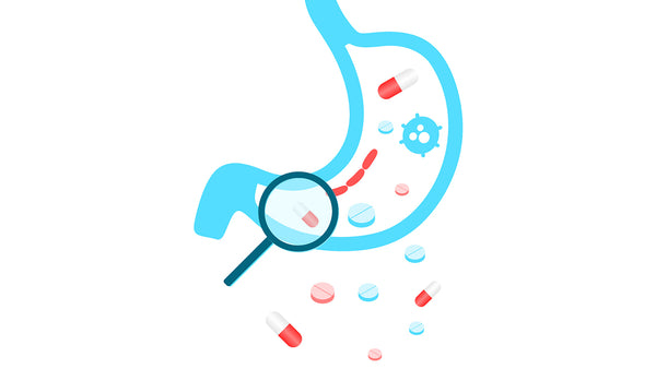 Lifestyle Habits Destroying Your Gut Health