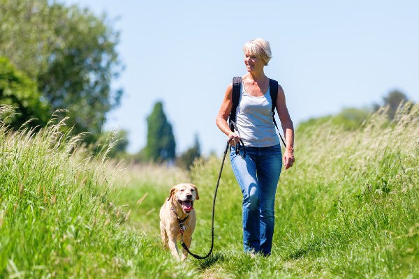 10 Summer Weight Loss Tips