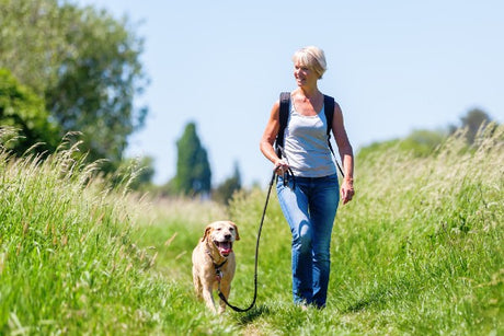 10 Summer Weight Loss Tips