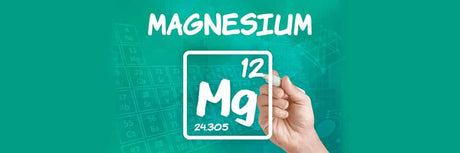 The Miracle of Magnesium - Bargain Chemist