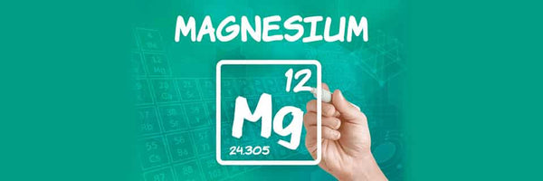 The Miracle of Magnesium - Bargain Chemist