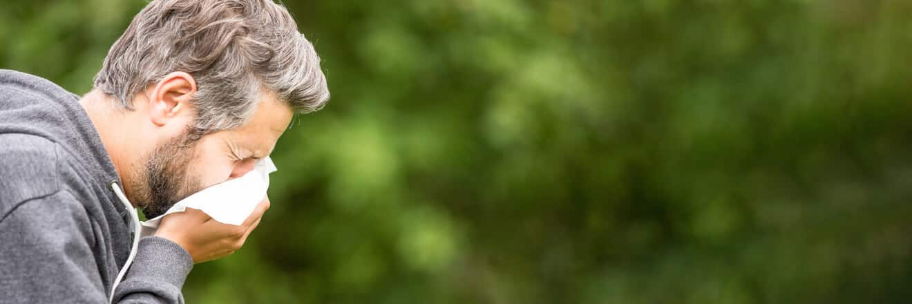 Hay Fever Symptoms And Treatments - Bargain Chemist