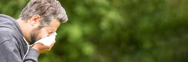 Hay Fever Symptoms And Treatments - Bargain Chemist