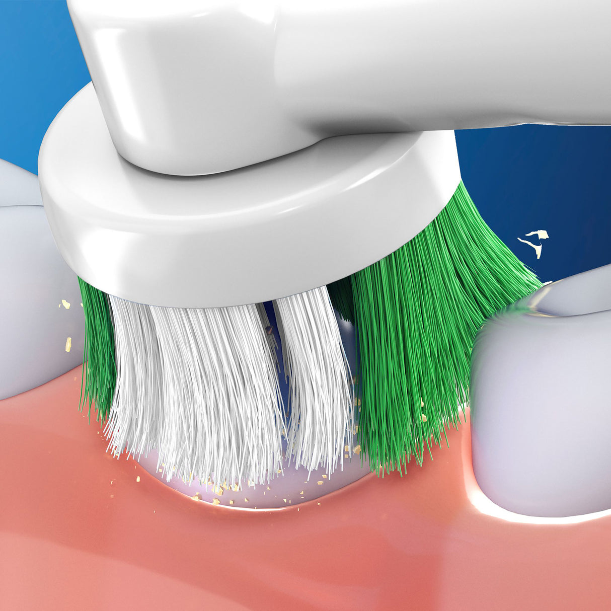 ORAL B Everyday Clean Replacement Brush Head 8pk