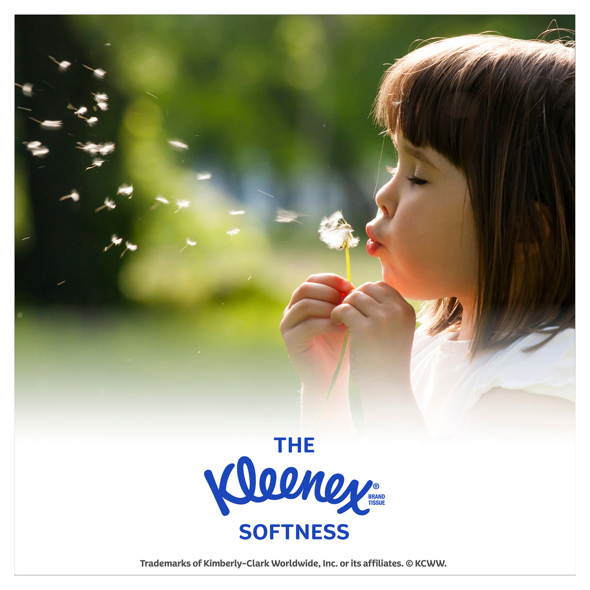 Kleenex Everyday Kids Facial Tissue 200 Pack