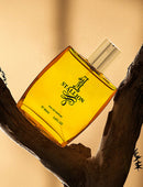 Dear Body Stallion EDP 90ml