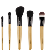 Truyu 10-1666 Brush Collection