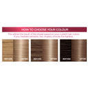 L'Oréal Paris Excellence Crème Permanent Hair Colour - 8.1 Ash Blonde