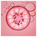 Garnier Fructis Colour Last Protect Coloured Hair Conditioner 315ml