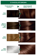 Garnier Nutrisse Permanent Hair Colour - 5 Chocolate Brown