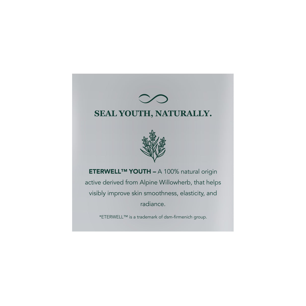 TIME CAPSULE YOUTH SEAL DAY CREAM 50ML