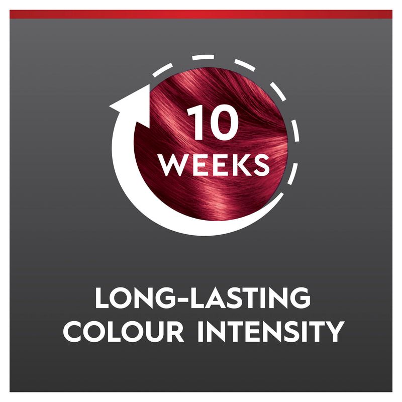 Schwarzkopf Brilliance L43 Smouldering Red