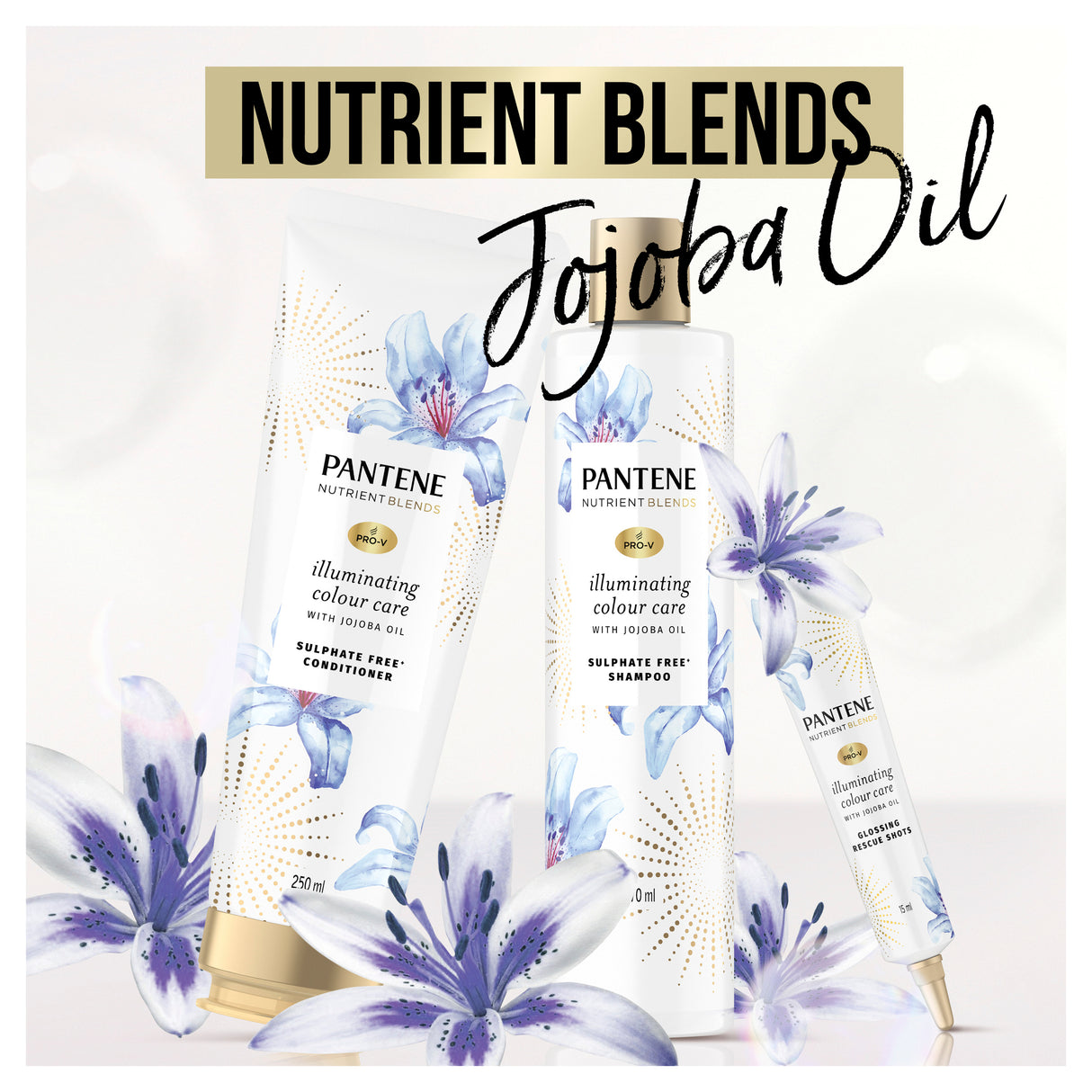Pantene Nutr Bln Jojoba Oil Shampoo 270ml
