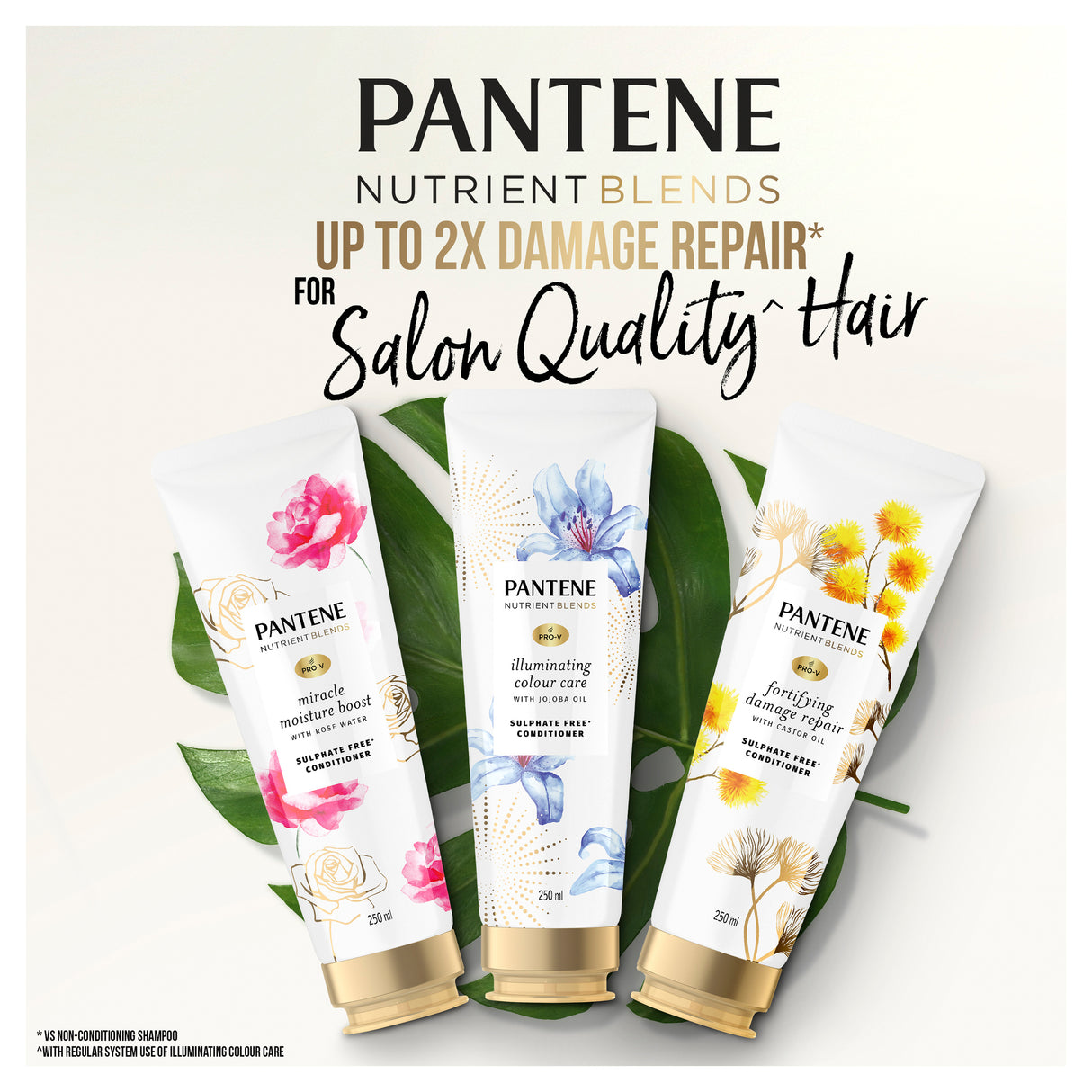 Pantene Nutr Bln Jojoba Oil Conditioner 250ml